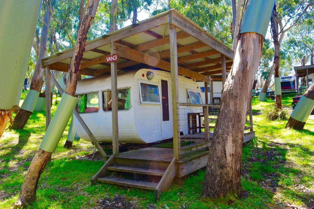 Zahrada ubytování Bimbi Park - Camping Under Koalas