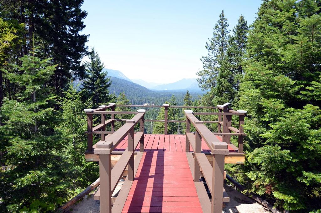 een houten brug in het midden van een bos bij Leavenworth Camping Resort Tiny House Otto in Leavenworth