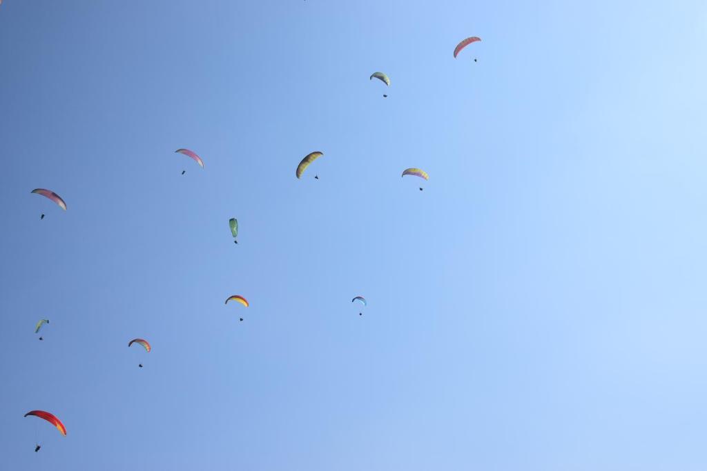 4 uccelli volano nel cielo di Gorgeous Village Guest House a Pokhara