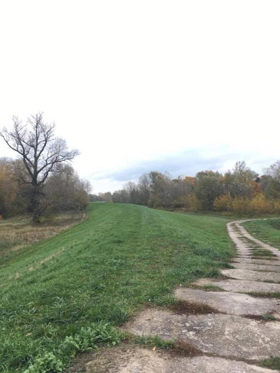 Příroda nedaleko chaty