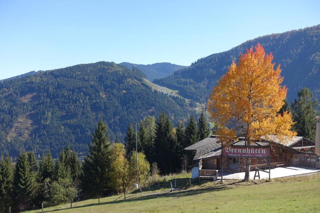 Příroda nedaleko apartmánu