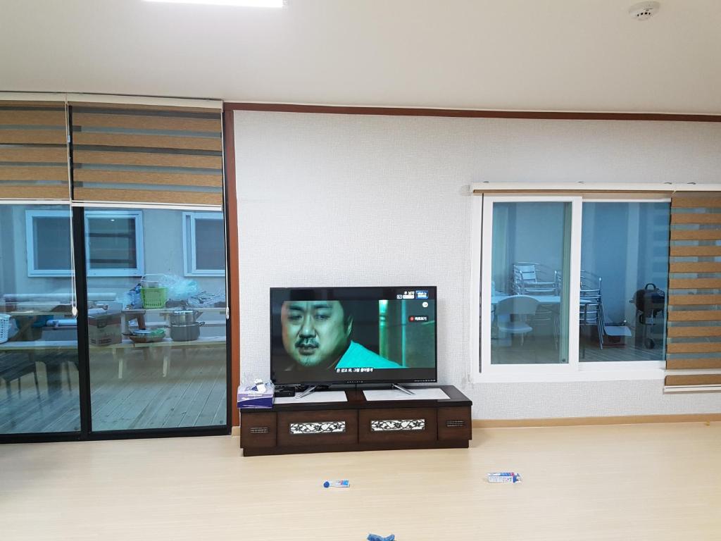 TV a/nebo společenská místnost v ubytování Bluesky Pension
