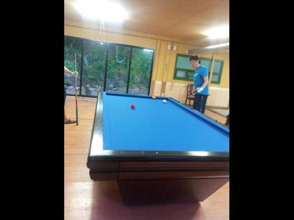 Biliár nebo kulečník v ubytování Bluesky Pension