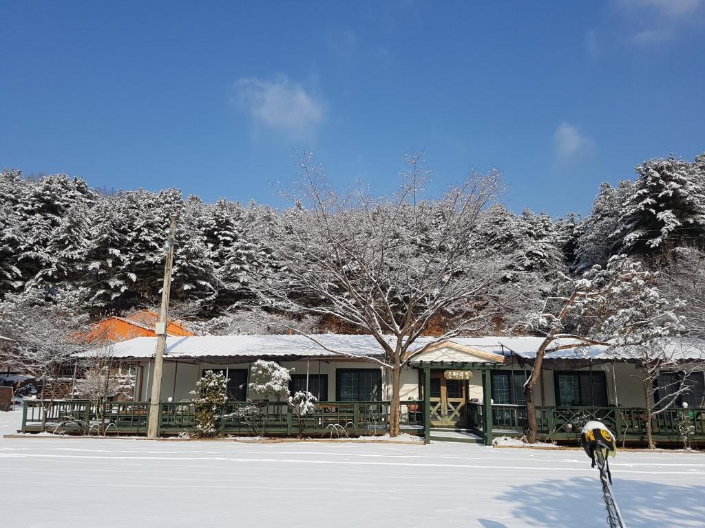 a snow covered building with a tree in front of it at Bluesky Pension in Pocheon