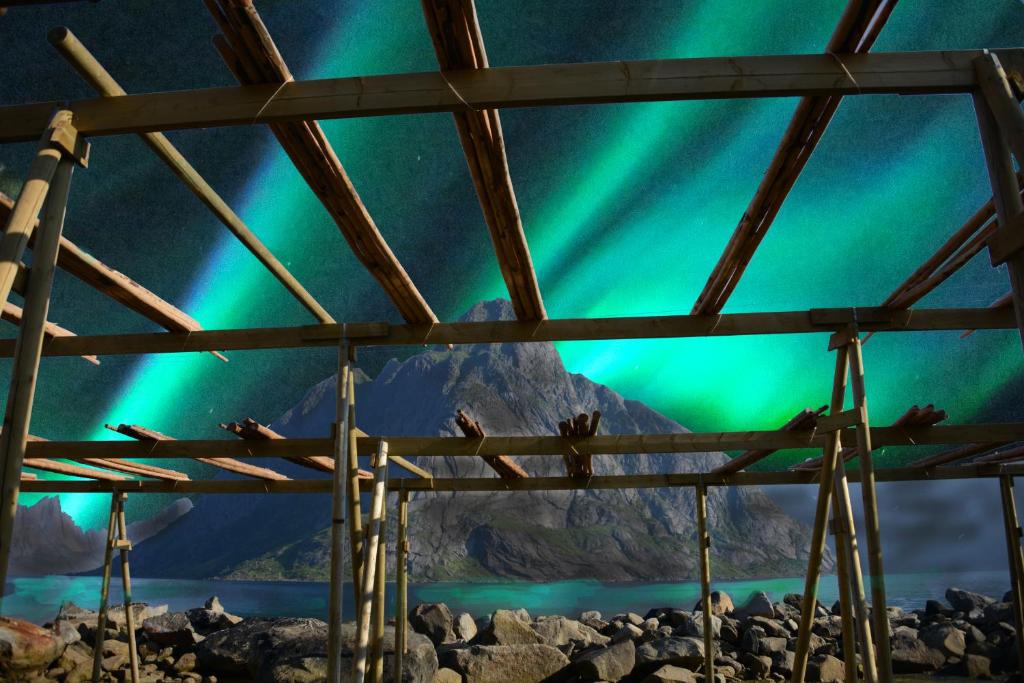 an image of polar bears looking at the aurora borealis at Dragon Villa Reine in Reine