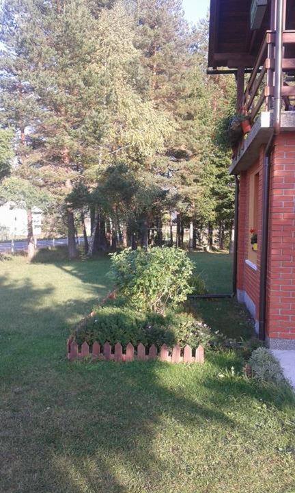Vonkajšia záhrada v ubytovaní Rooms Danica