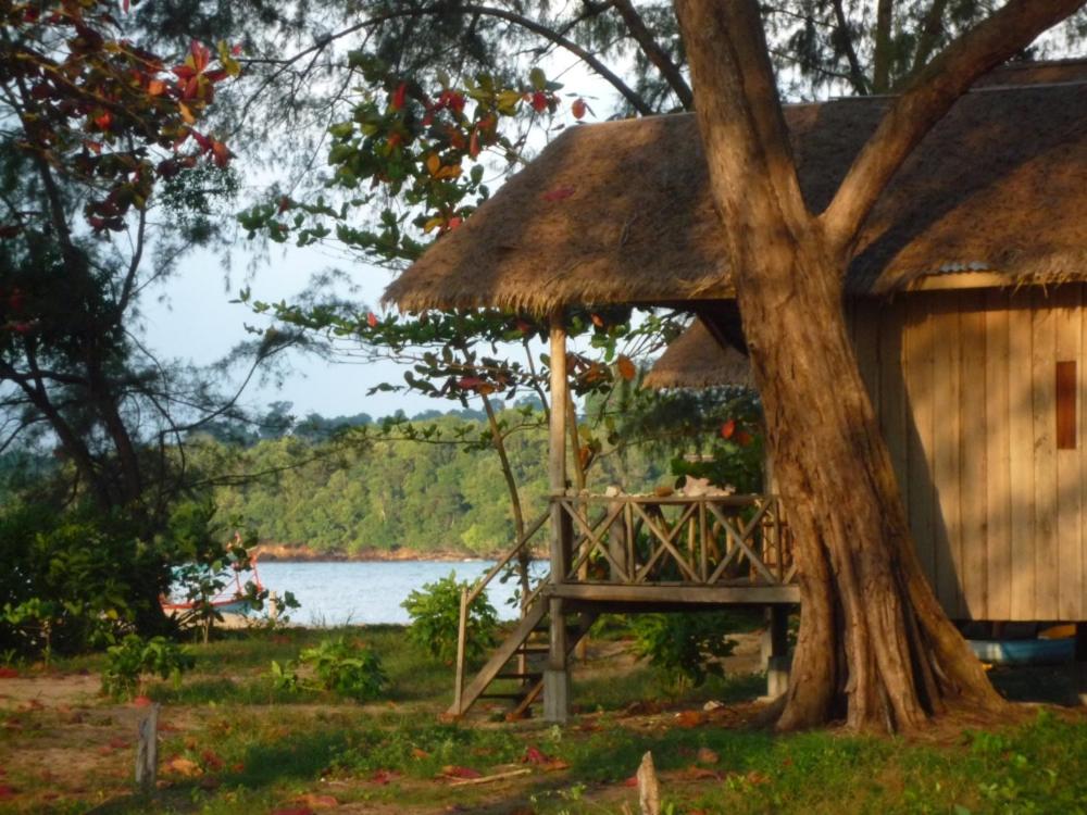 Koh Thmei Resort في Phumĭ Kâng Kéng: كوخ مع شجرة بجانب بحيرة