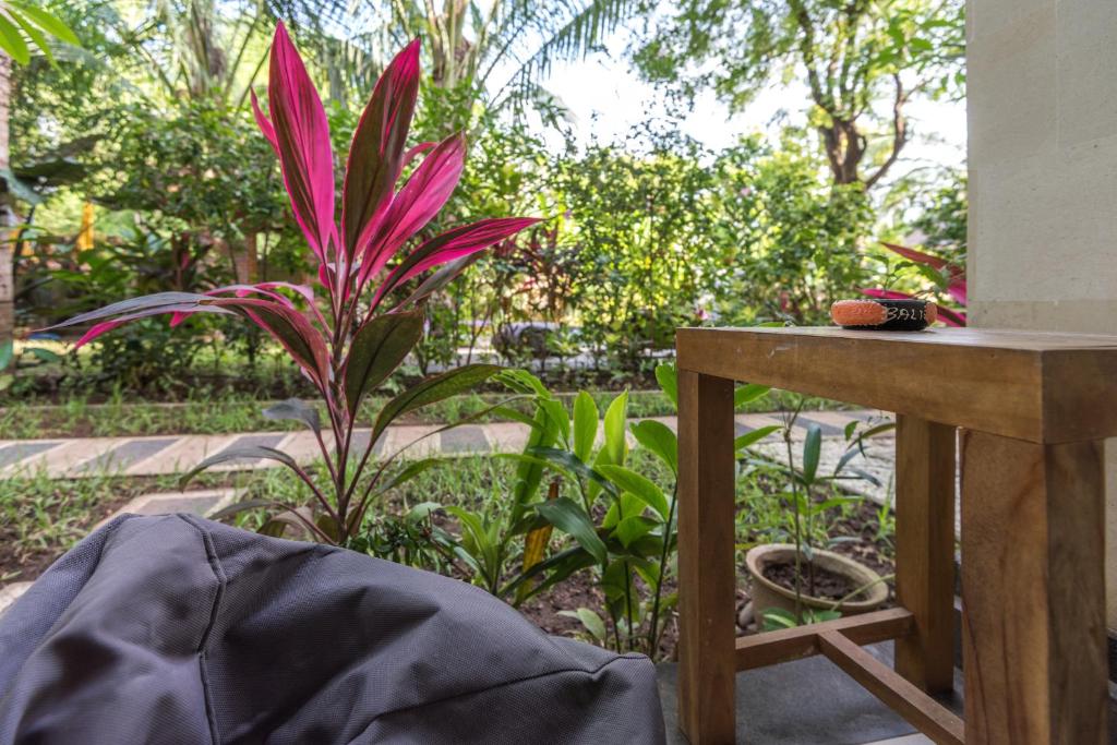 Zahrada ubytování Arjuna Homestay