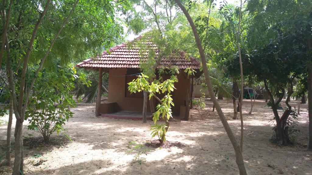 Zahrada ubytování Light House Beach Hut