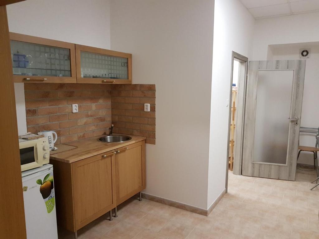 Kuchyň nebo kuchyňský kout v ubytování Apartmany u Dvora