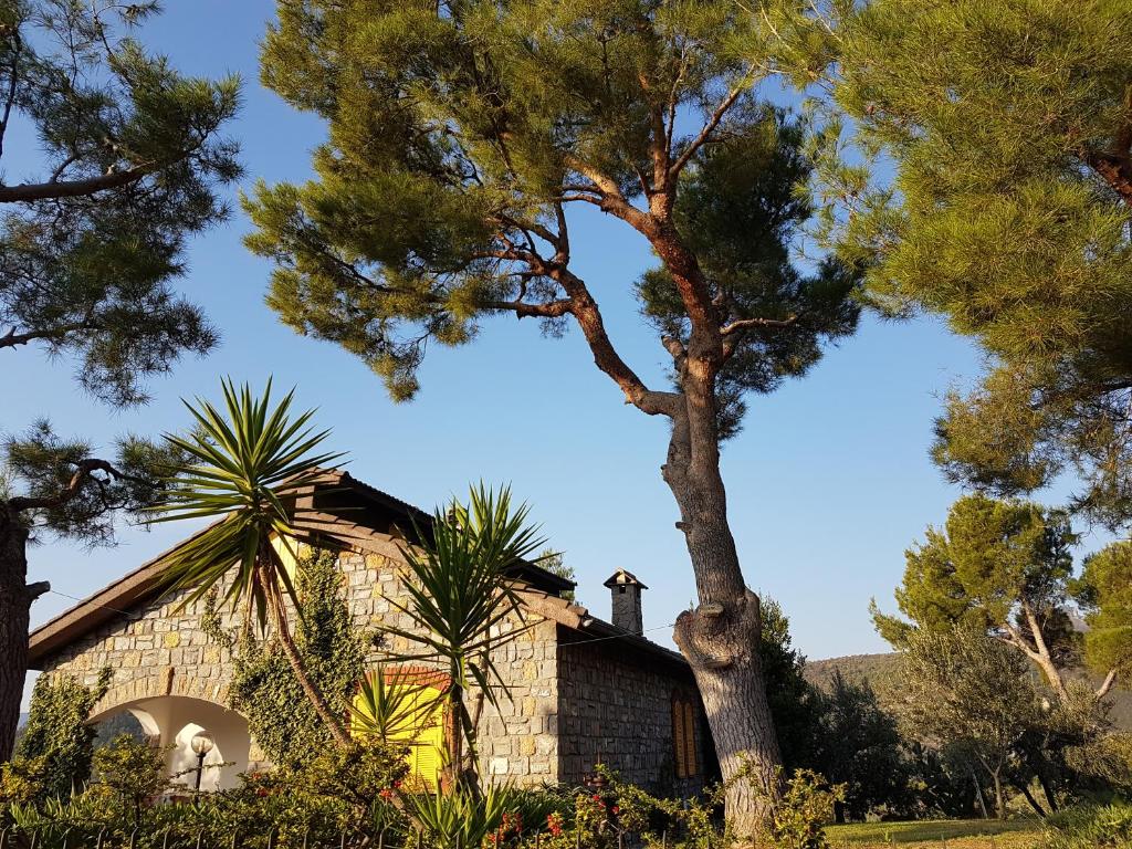 une maison avec un arbre en face dans l'établissement Casa Lavanda, à Cisano sul Neva