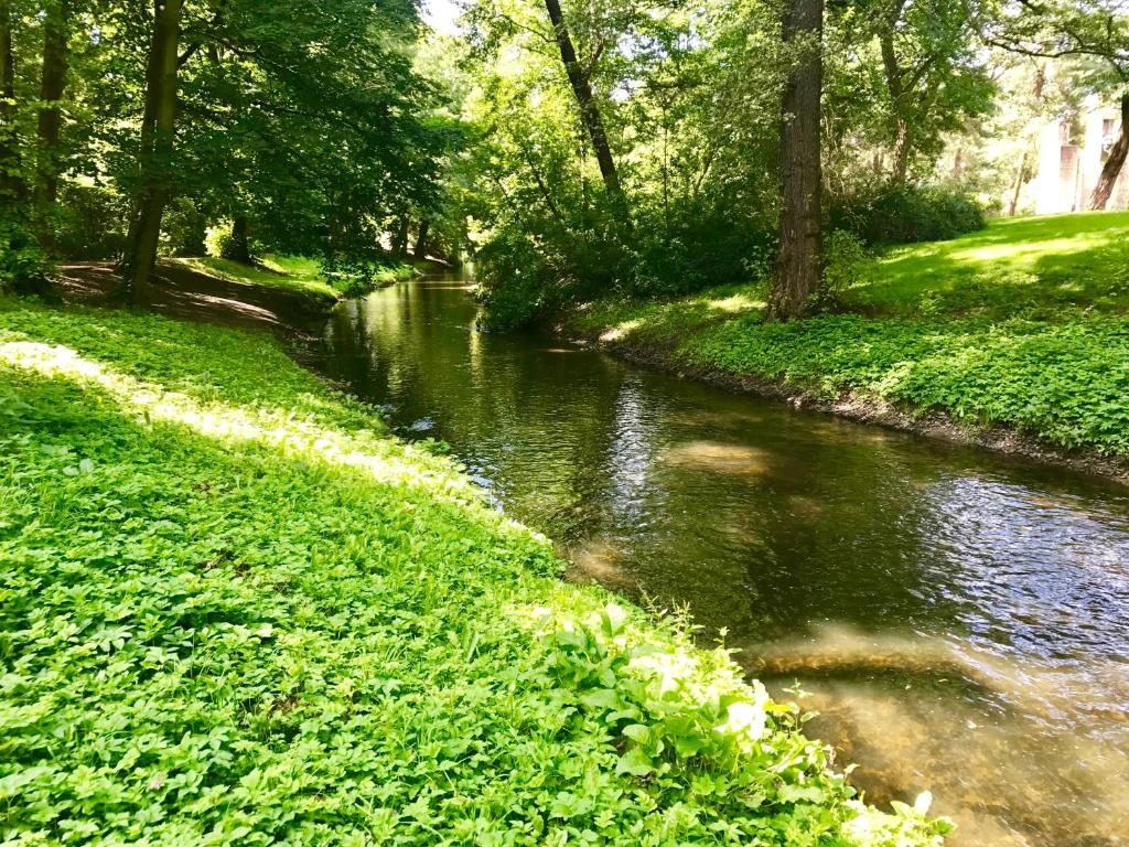 Bürgerpark Apartments - 18