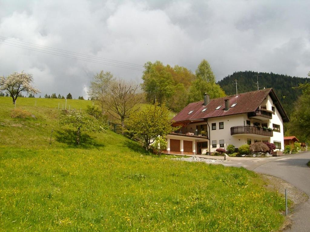 Bad Rippoldsau-SchapbachにあるFerienwohnung Am Sulzbächleの草原の家