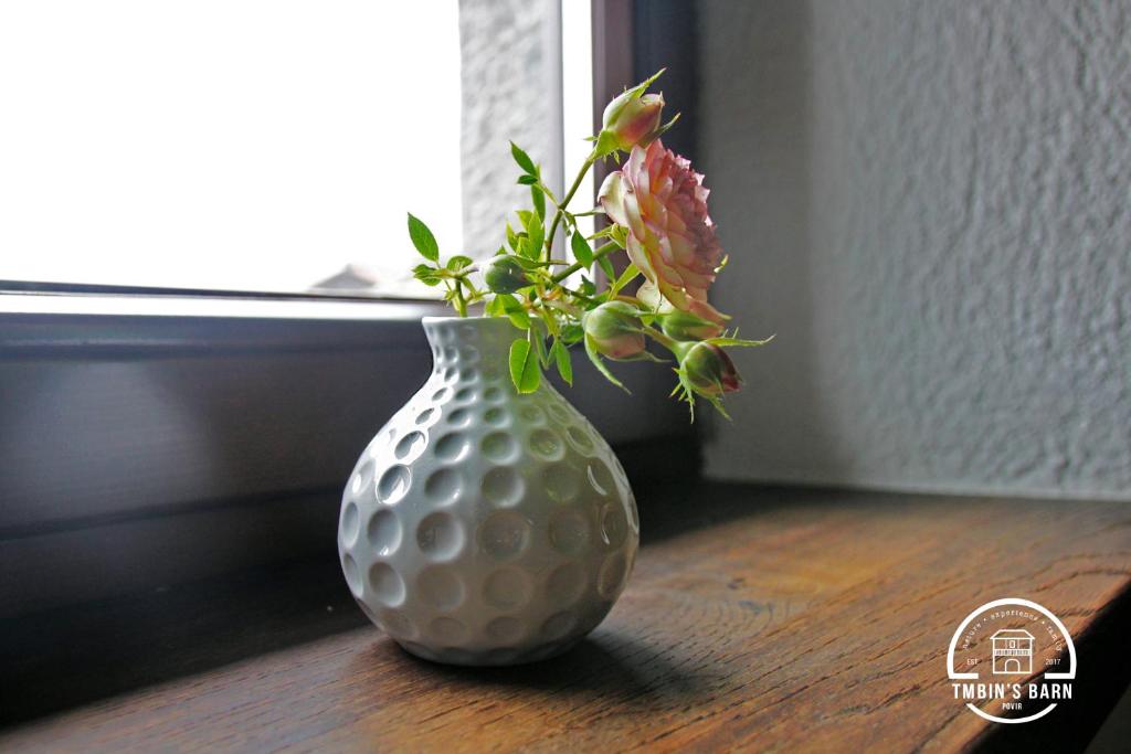 a white vase with a flower in it on a table at Tmbin's barn - nature, horses, family in Sežana