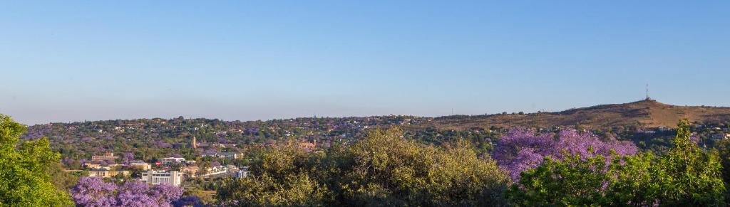 a view of a city with trees and buildings at La Vida Luka - Luxury Guesthouse in Pretoria