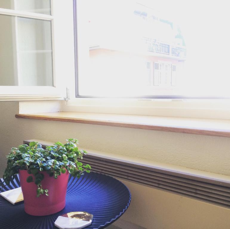 In Swiss Home - Rathaus from 1284 historical Apartment - Resim 10