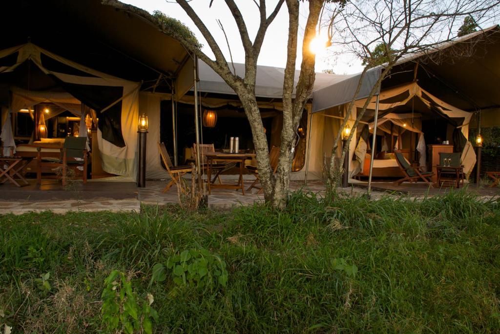 Zahrada ubytování Mara Intrepids Tented Camp