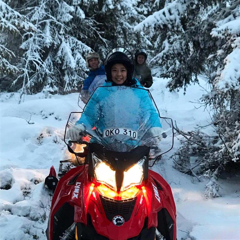 Hosté ubytování Nordic Lapland Frevisören