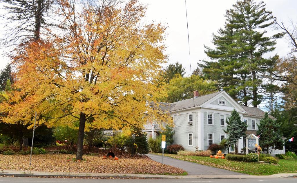 Maple Terrace Motel photo