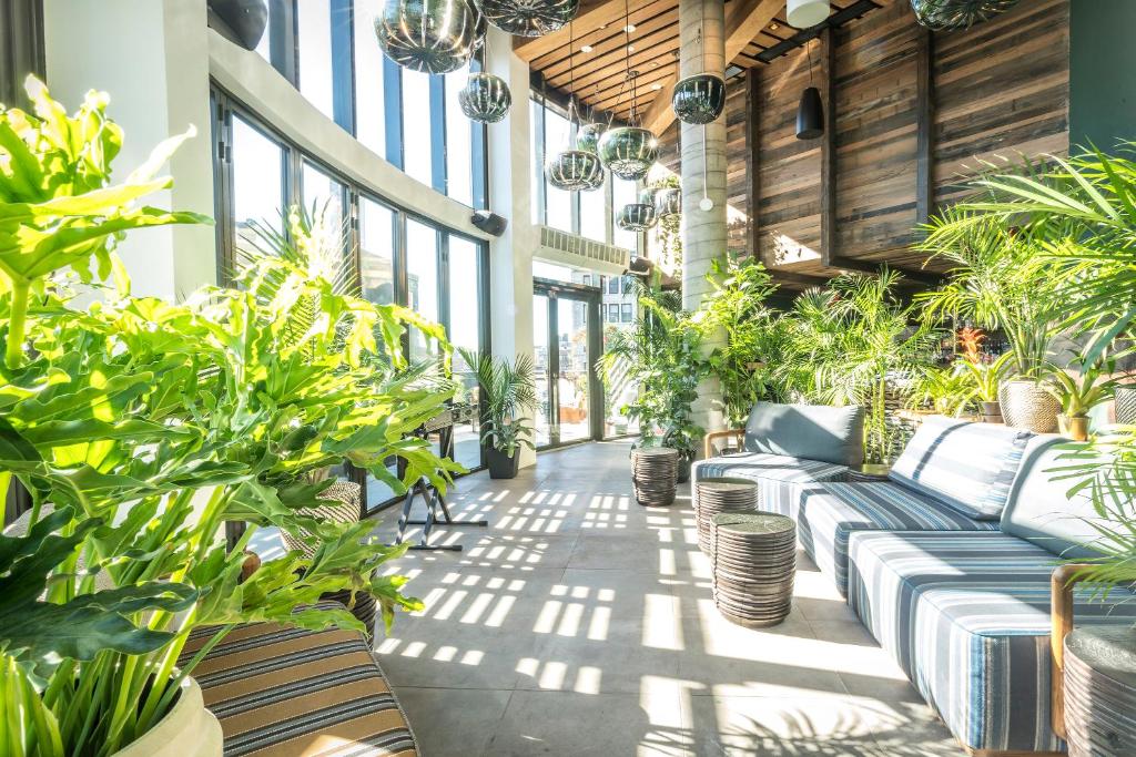a living room filled with lots of plants and furniture at MADE Hotel in New York