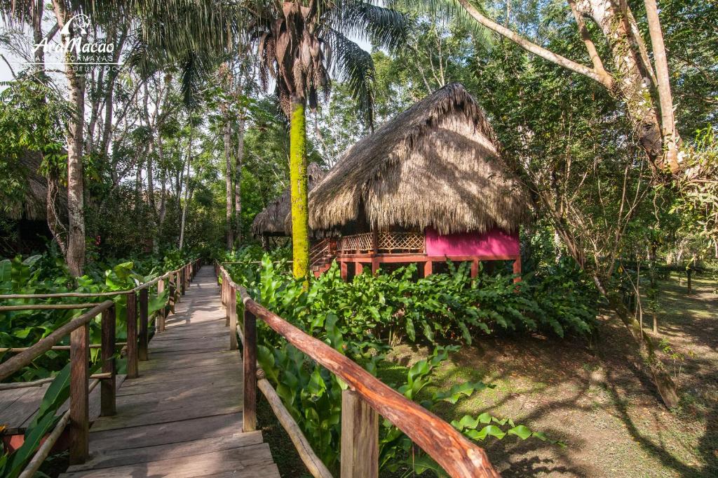 ¿Dónde hacer camping en medio de la selva? Legal, seguro y mágico