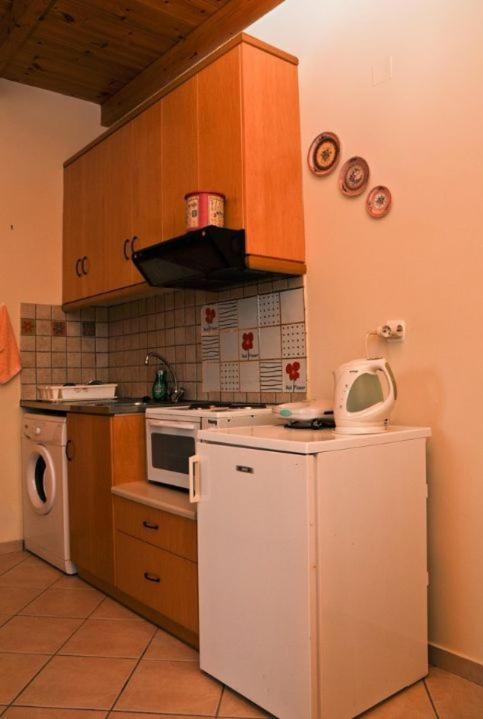 Kuchyň nebo kuchyňský kout v ubytování Euktimeno