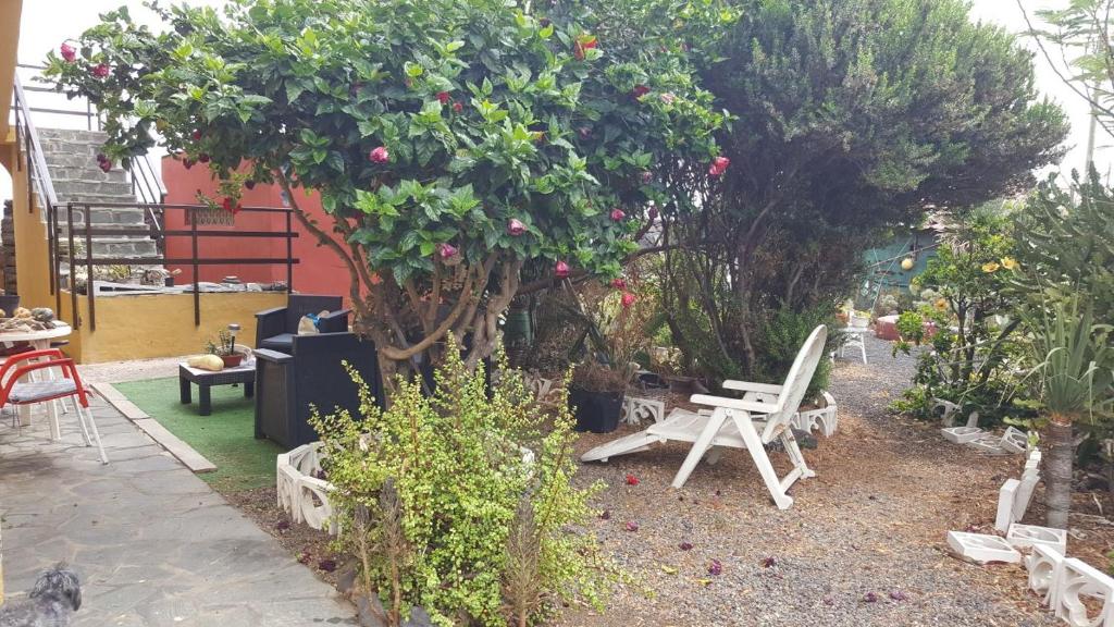 TimijiraqueにあるCasa Omaira y Nachoのベンチ付きの庭園