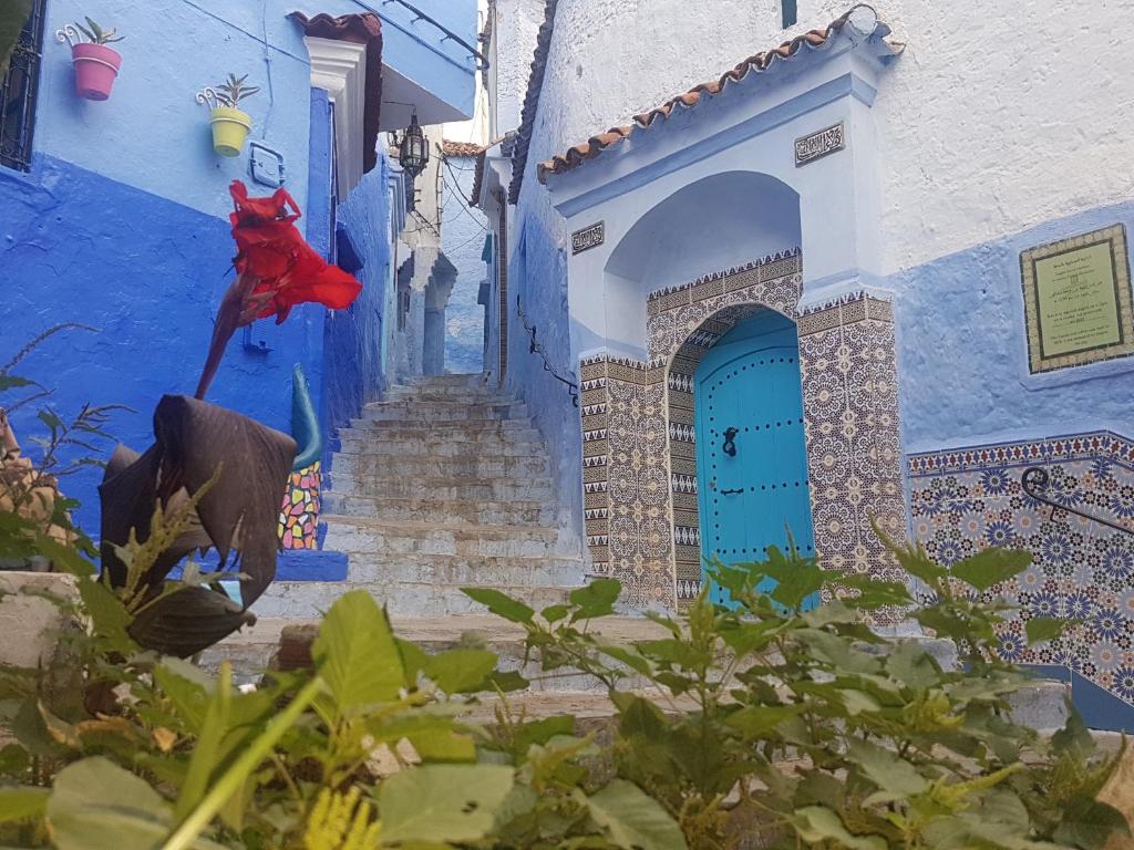 een blauw gebouw met een kat erop geschilderd bij Blue Morisco in Chefchaouene
