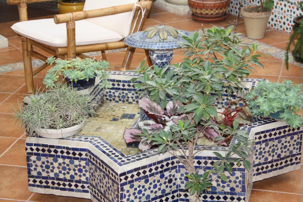 Fotografia z galérie ubytovania Casa Rural Sidonia v destinácii Medina Sidonia