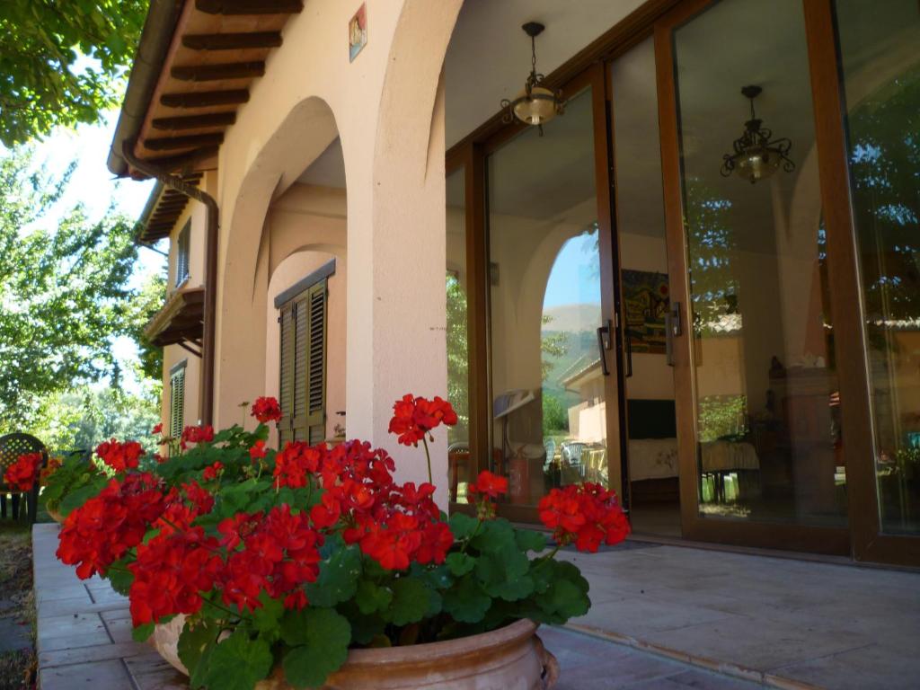 a pot of red flowers in front of a building at Tadinum Romana in Gualdo Tadino
