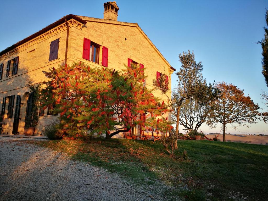 an old house with a tree in front of it at Il Casale Dorato in Filottrano