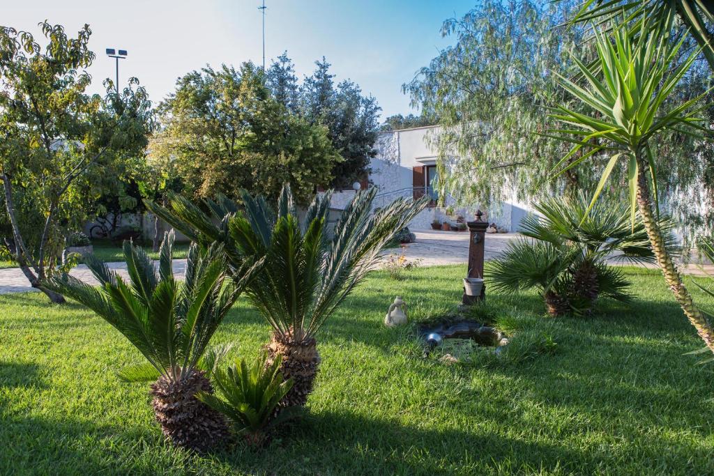 Zahrada ubytování fiori e massi