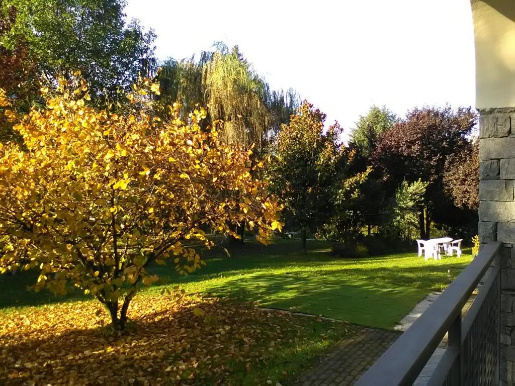 Zahrada ubytování B&B Carunei