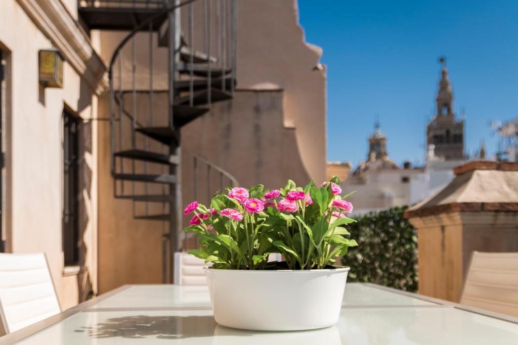 Genteel Home Vinuesa - 18