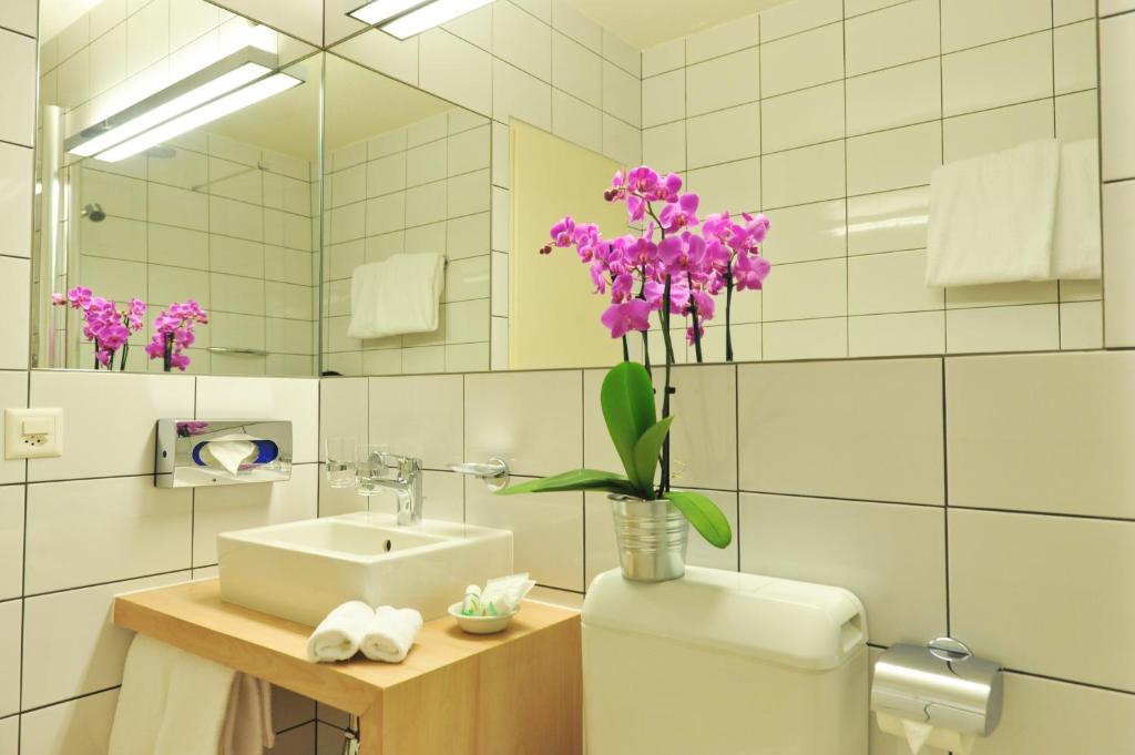 Hotel des Alpes - Resim 3