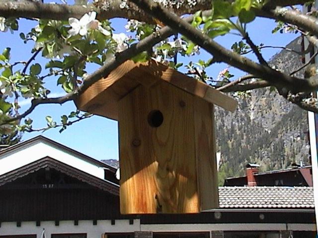 a wooden bird house sitting on a tree branch at Haus Waldfriede in Pertisau