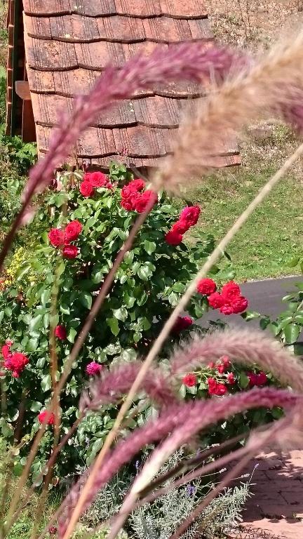 O grădină în afara Gmiatliche Stubm
