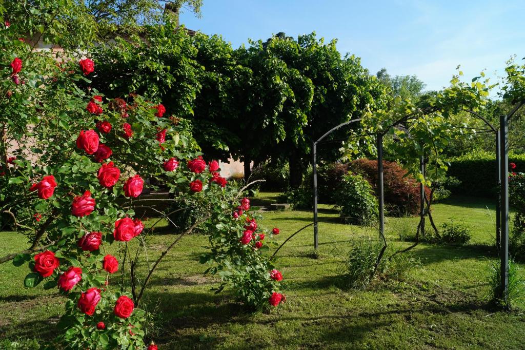 Vonkajšia záhrada v ubytovaní Villa Sassi