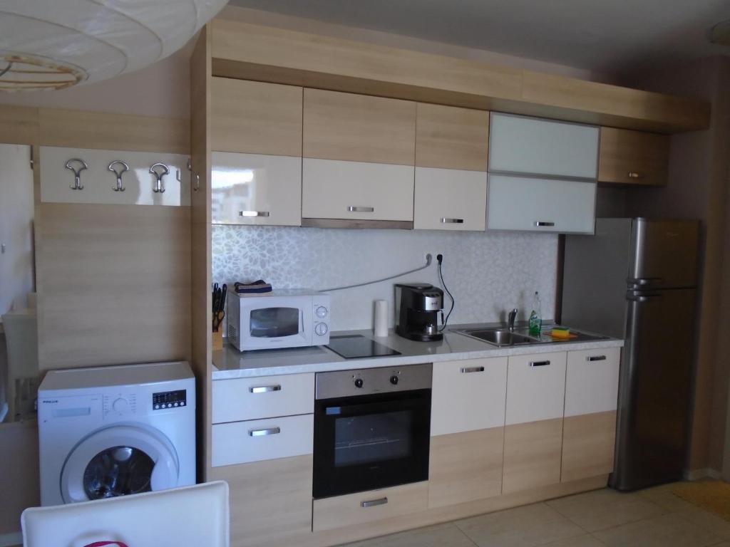 Kuchyň nebo kuchyňský kout v ubytování Nedev's Apartments in Kavatsi Area
