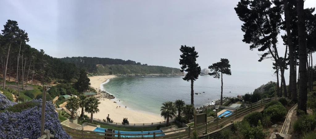 vistas a una playa con palmeras y al océano en Departamento en la Playa, en Algarrobo