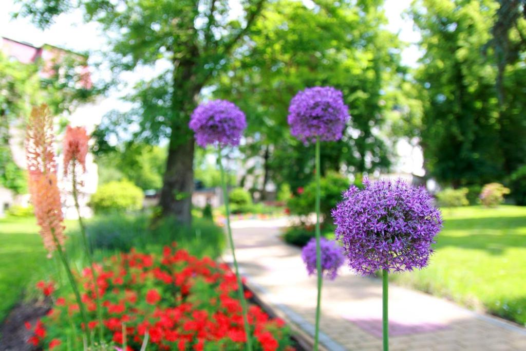 Bristol Georgy House - Resim 31