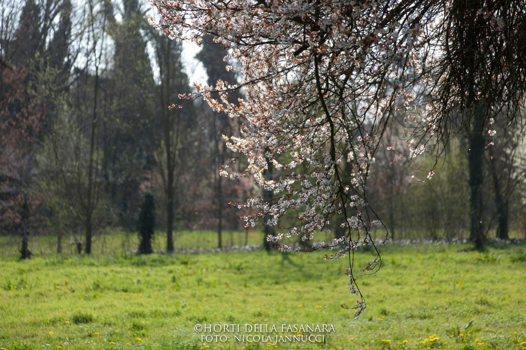 Zahrada ubytování Horti Della Fasanara