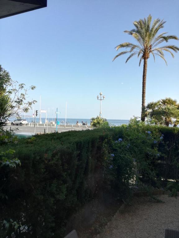 - une vue sur la plage avec un palmier et l'océan dans l'établissement Nice Promenade Apartment, à Nice