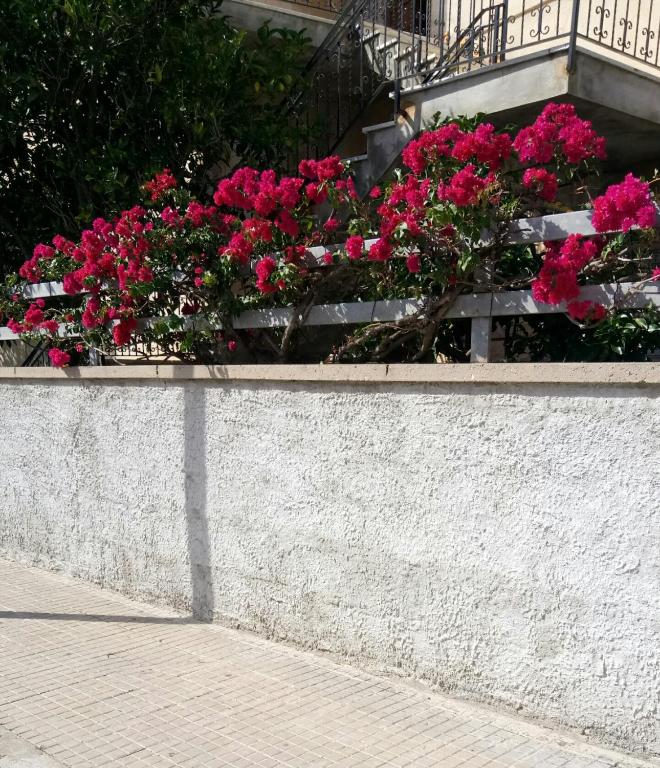 Zahrada ubytování Rosy B&B