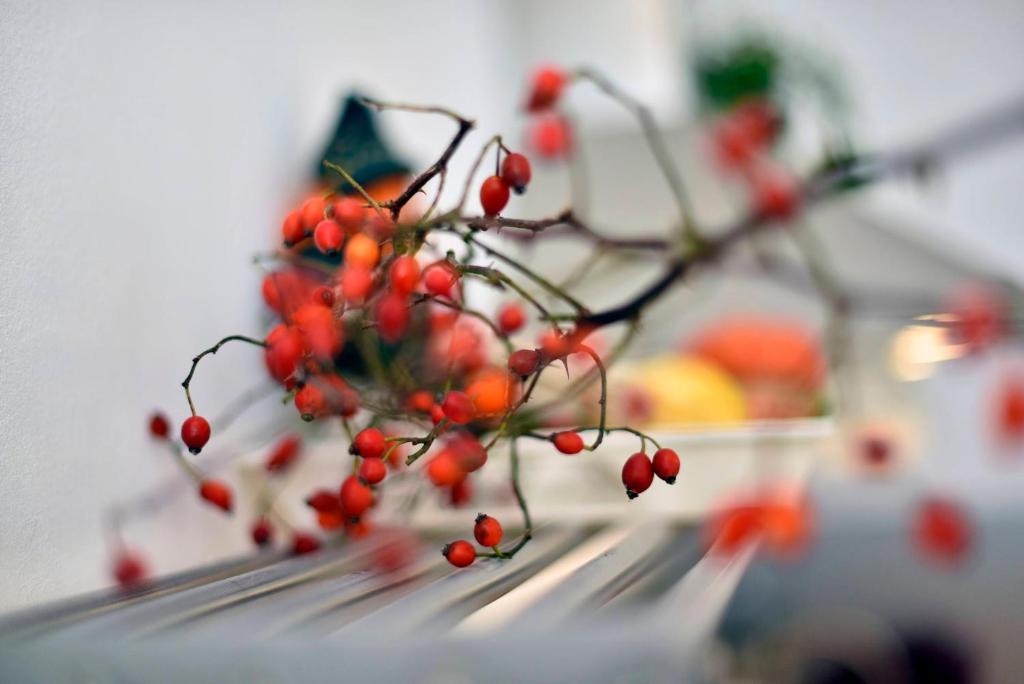 Hygge Apartment, Zagreb (updated prices 2025) - 19