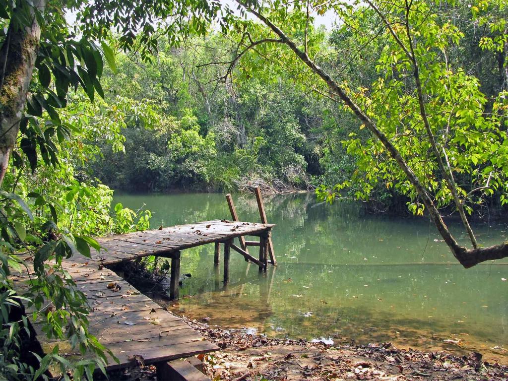 Campamento Rio Lacanja