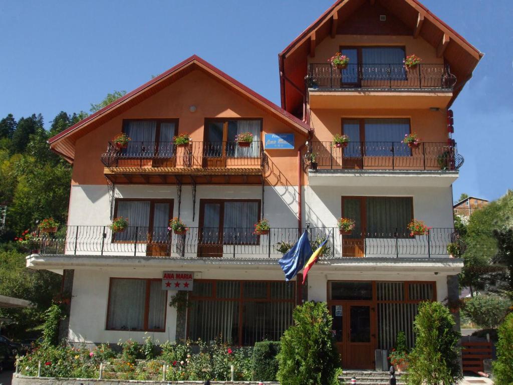 a building with a flag in front of it at Vila Ana-Maria in Sinaia