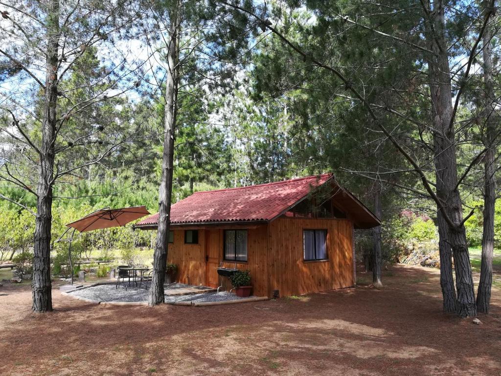 uma cabana na floresta com uma mesa e um guarda-chuva em Eco Cabañas Algarrobo em Algarrobo