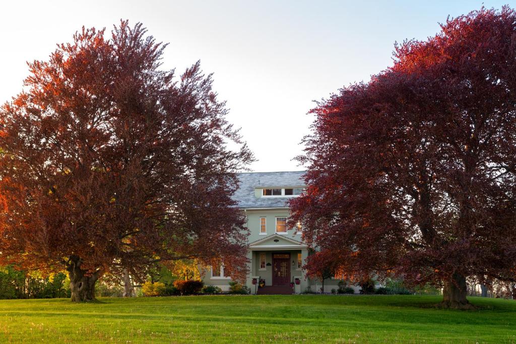 una casa con dos árboles delante de ella en Yale Manor B&B & Yurt Glamping, en Yale