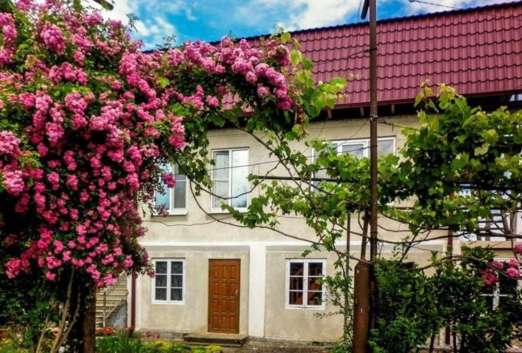 Фото Гостевой дом АННА